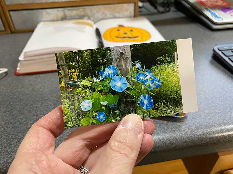 Reviewing the Polaroid Hi-Print vs. the Fuji Instax Portable