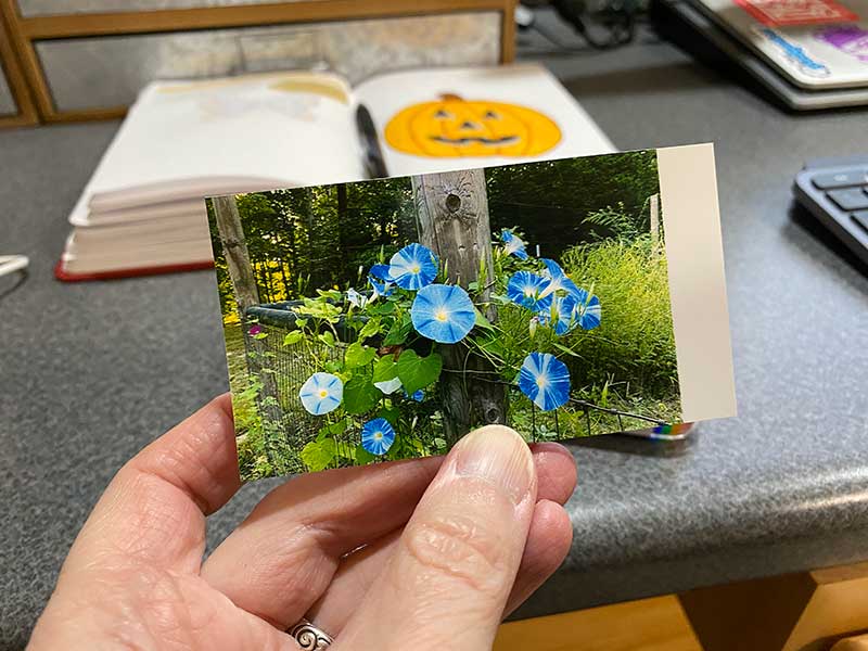 Polaroid Hi-Print Pocket Photo Printer