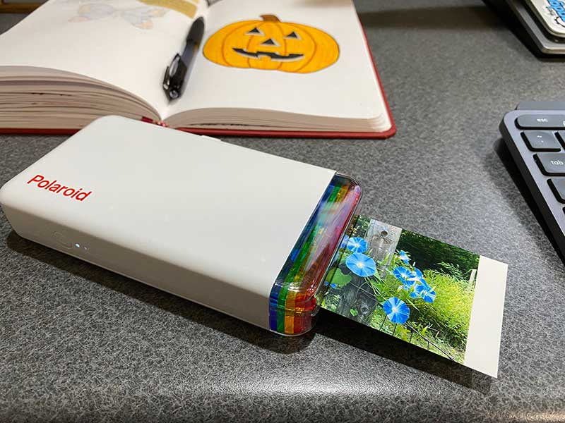 This hacked Polaroid camera prints your photos onto thermal paper: Digital  Photography Review