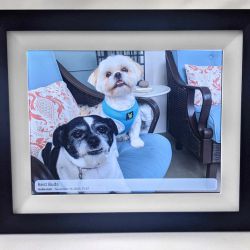 AEEZO 2K Digital Photo Frame review