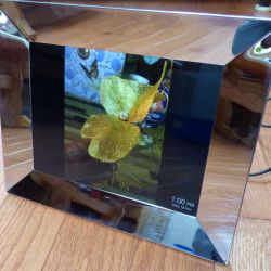 Nixplay 9.7-inch Metal Smart Photo Frame review