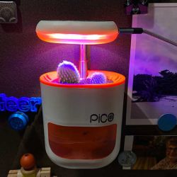 PICO miniature garden review
