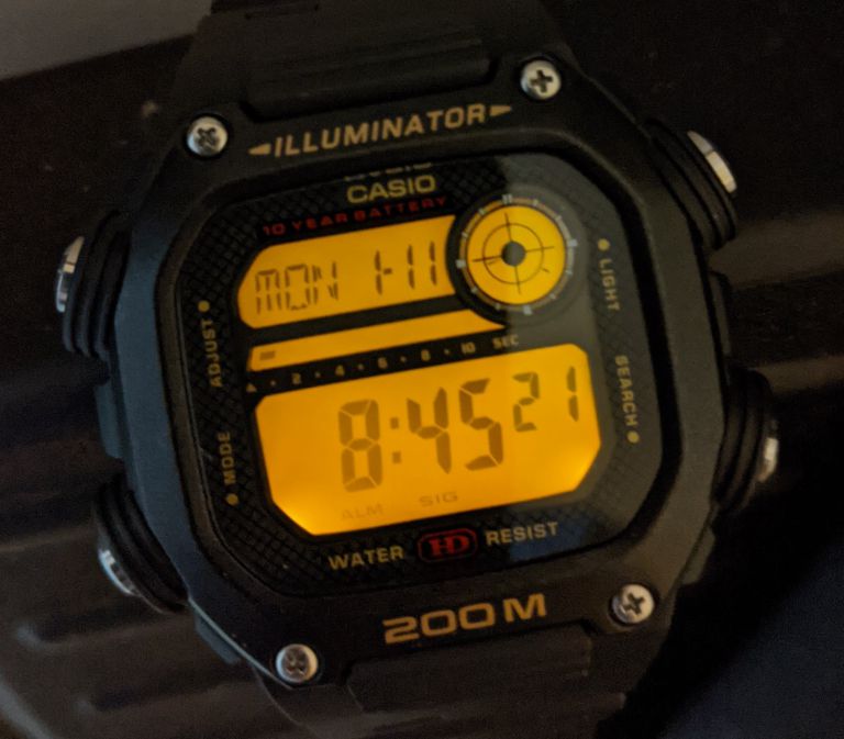 Casio DW291H heavy duty digital watch review The Gadgeteer