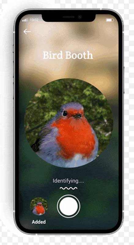 birdbooth 3