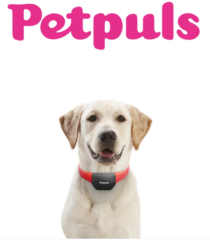 petpuls collar 1