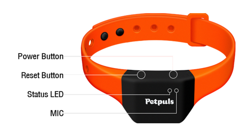 petpuls collar 6