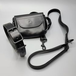 WaterField Wag Hip Pack and Wag Dog Collar and Leash review