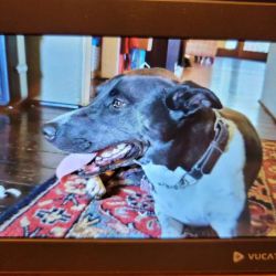 Vucatimes Smart Digital Picture Frame review