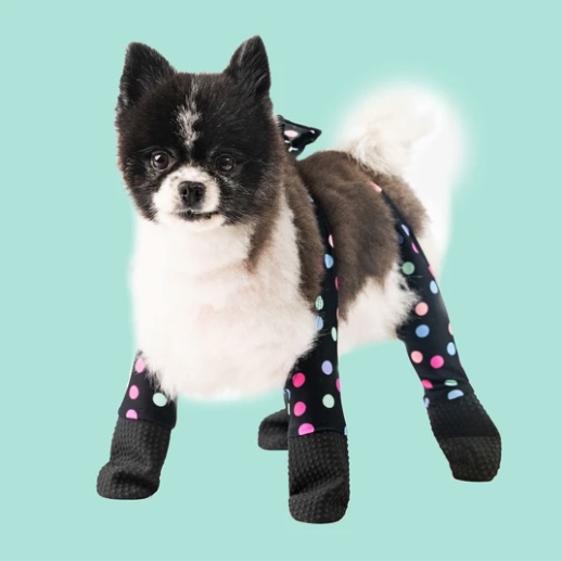 Dog boots outlet with suspenders