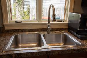 WaterSong Kitchen Faucet 1