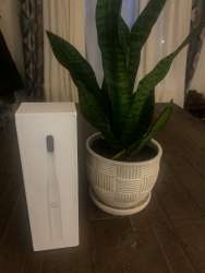 pomabrush 9