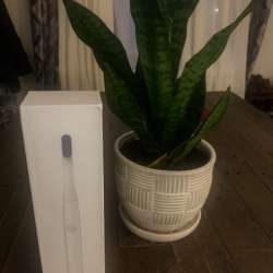 Pomabrush electric toothbrush review