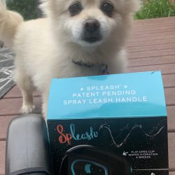 Spleash leash review – A dog leash with built-in doggy hydration