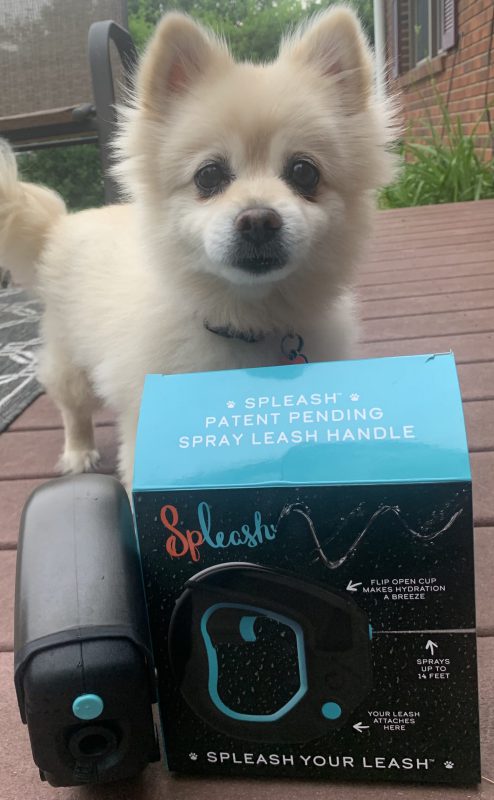 Spleash 2 scaled e1622162736562