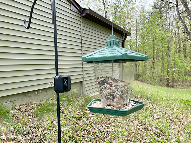 outdoor camera to watch birds