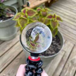 lensball stand mount 12