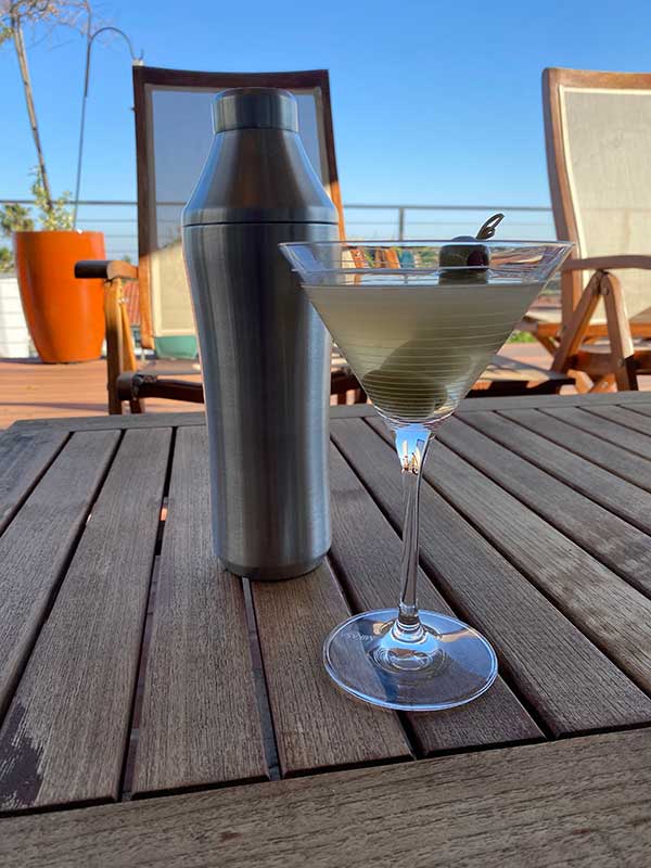 Elevated Craft Stainless Steel Cocktail Shaker Review