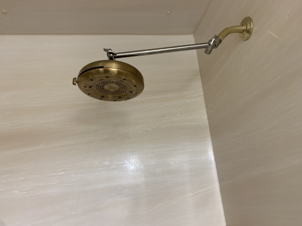 Moen Quattro Showerhead 8