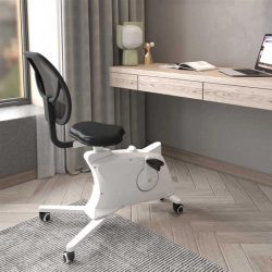 flexispot deals 1