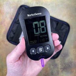 i-Sens KetoSens blood ketone monitoring system review