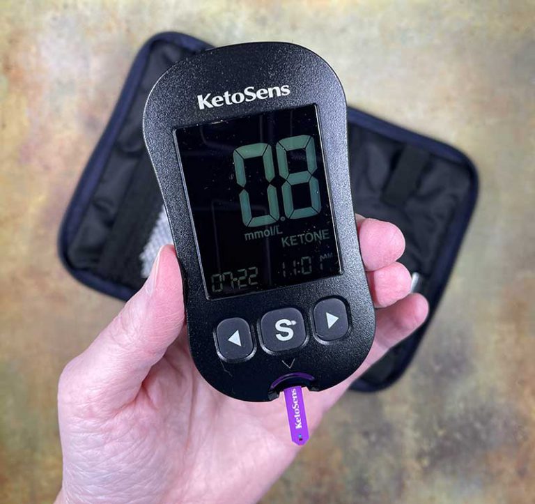iSens KetoSens blood ketone monitoring system review The Gadgeteer