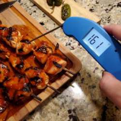 ThermoWorks Thermapen ONE thermometer review