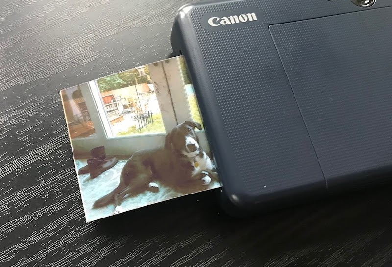 Canon Ivy Cliq+ 2 review - A camera and a photo printer in one device - The  Gadgeteer