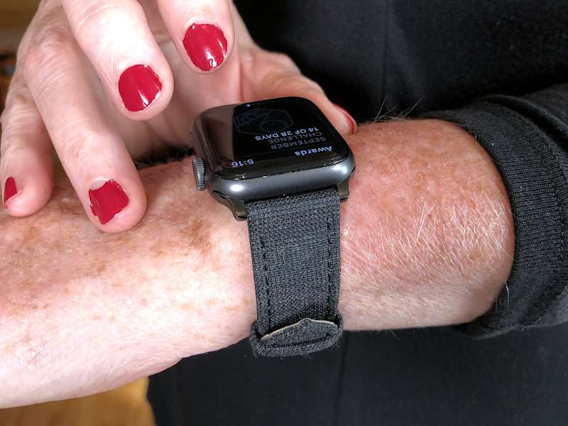 Bandit apple 2025 watch band