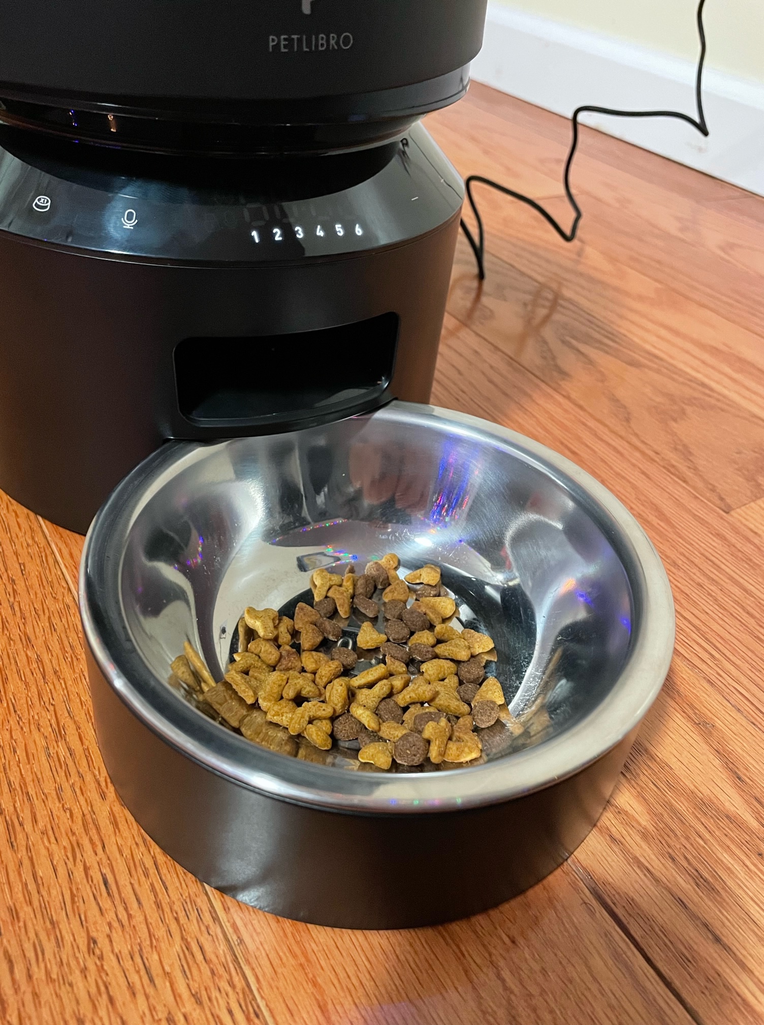 Petlibro Granary Automatic Pet Feeder review Gadgetry for your fur
