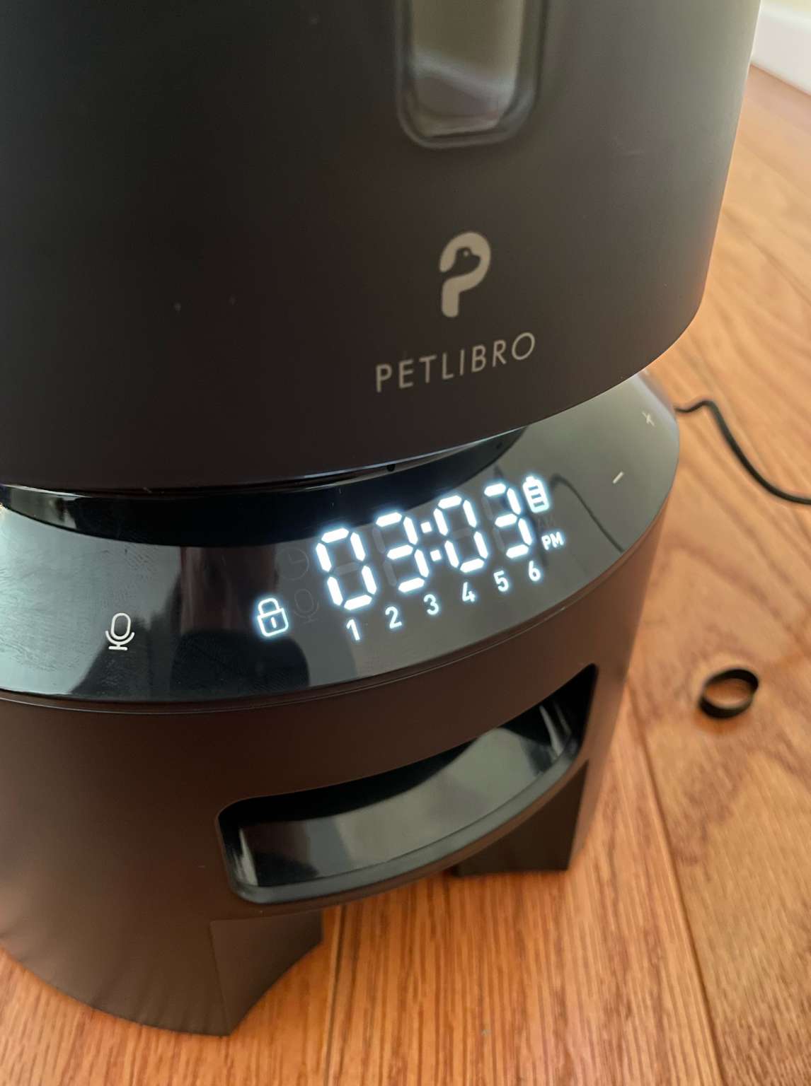 Petlibro Granary Automatic Pet Feeder review Gadgetry for your fur