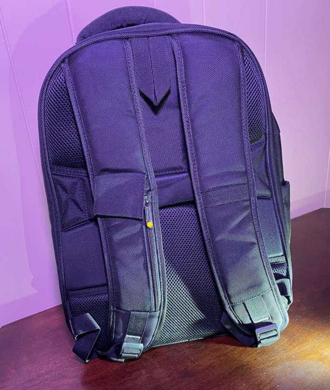 LOUIS VUITTON BACKPACK REVIEW 