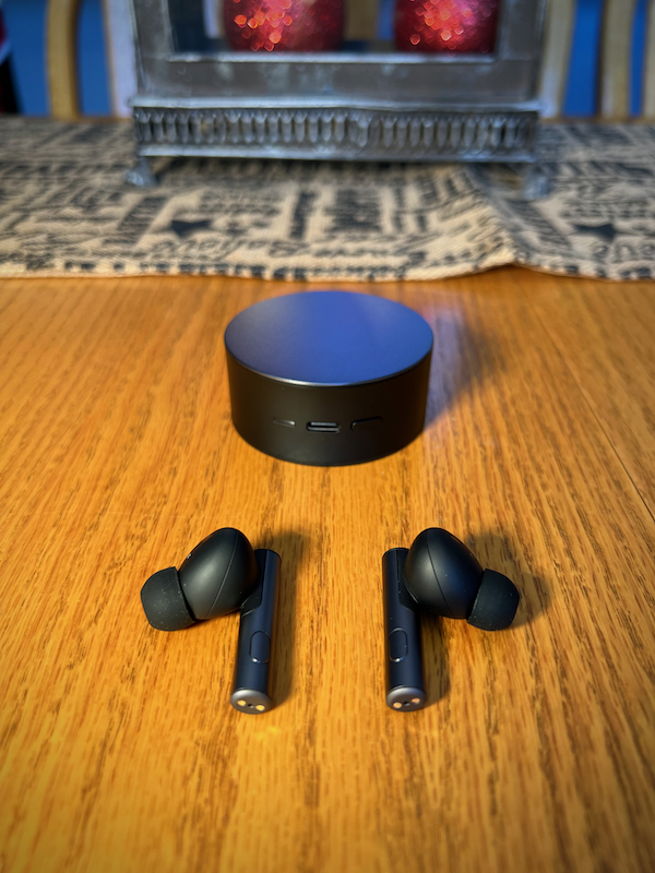 Oddict TWIG PRO earbuds