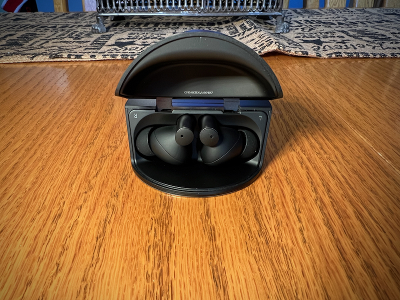 Oddict TWIG PRO earbuds in charging case