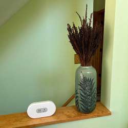 Airthings View Plus review – This smart home device could save your life