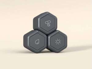 cadence capsule 5