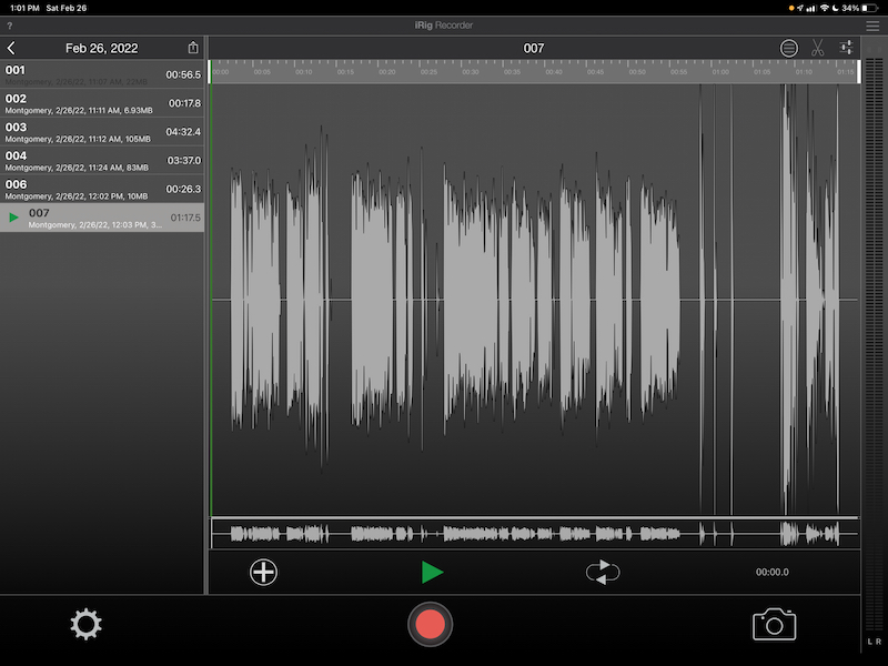 IK Multimedia iRig Recorder LE app on iPad Pro