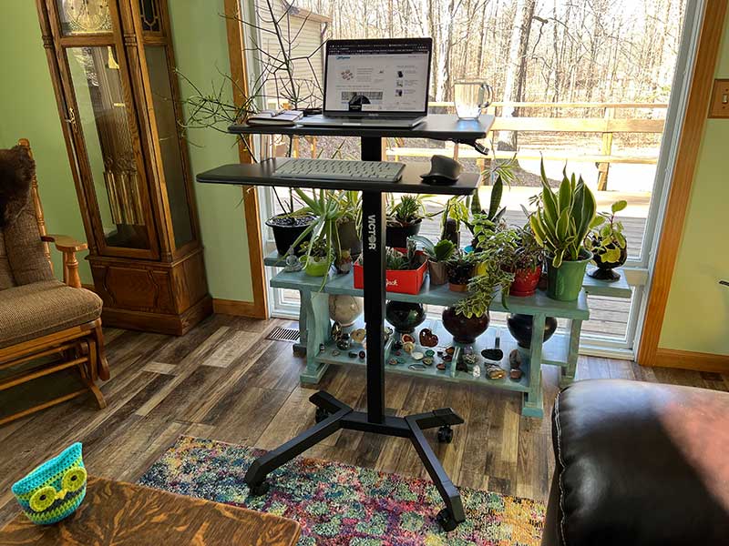 https://the-gadgeteer.com/wp-content/uploads/2022/03/victor-tech-standingdesk-4.jpg