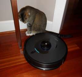 Shellbot SL60 LiDAR robot vacuum and mop review - The Gadgeteer