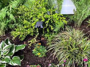 Linkind Solar Lights 4