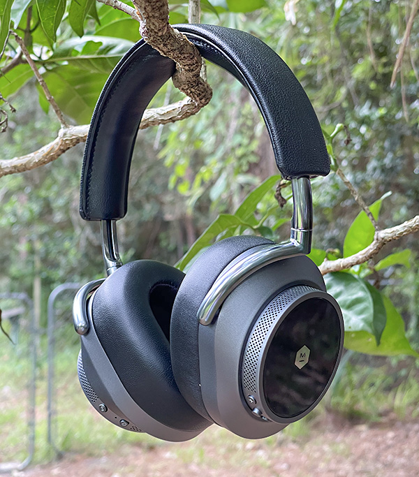 Master dynamic online headphones