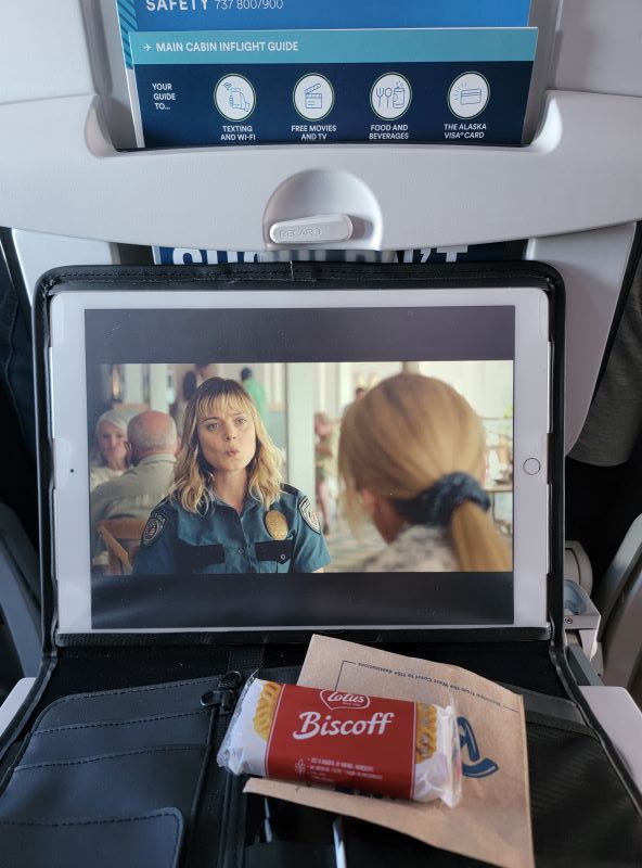 Airplane Seat-Back Valet Shows Your Valuables Off to the World