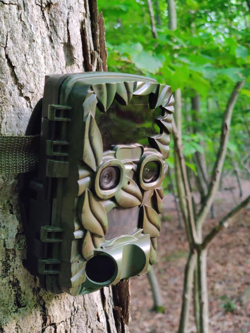 Coolife 20MP 4K video HD trail camera review –  It’s fun to see what roams your woods or yard at night!