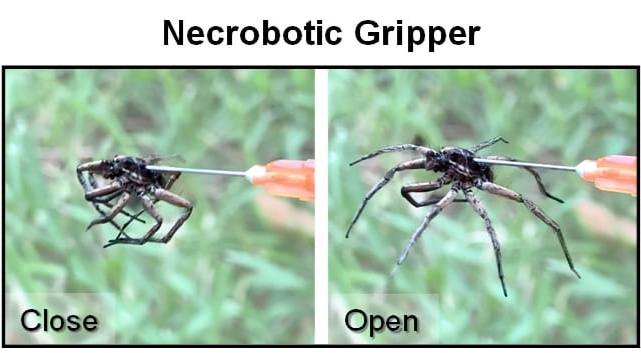 necrobotic gripper 01