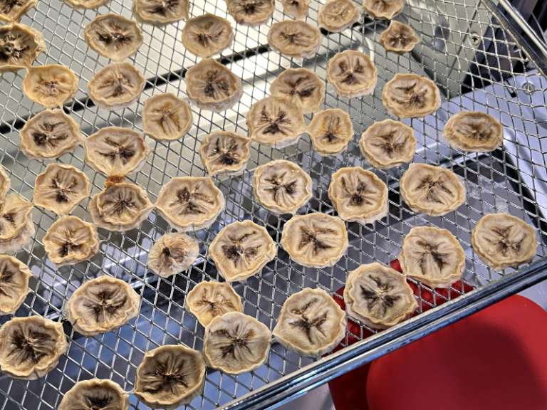 PARIS RHÔNE Air Fryer Toaster Oven Combo review the almost perfect