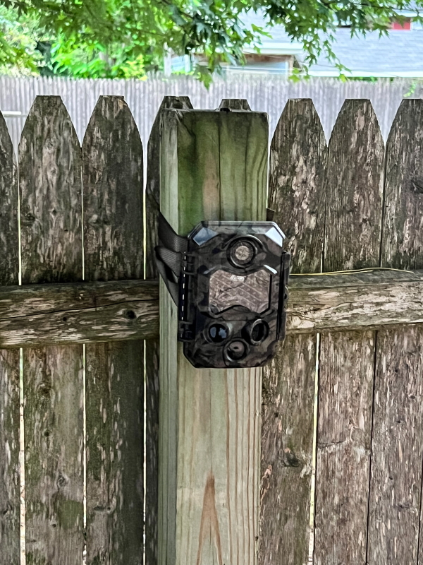 coolife wildlife camera