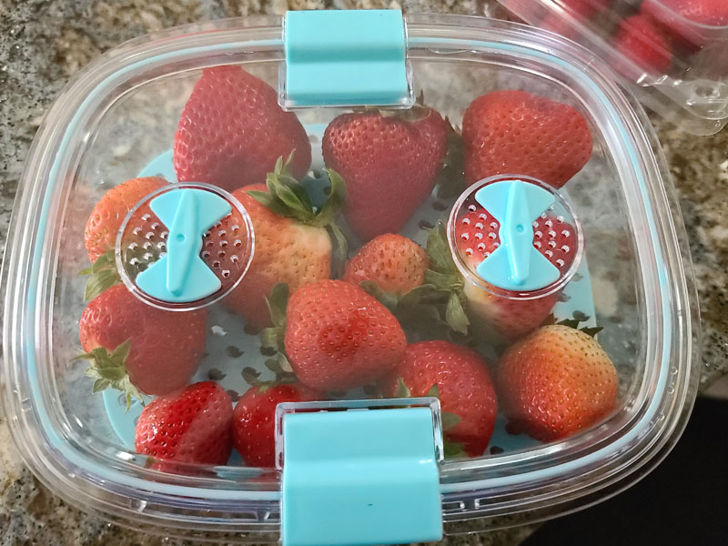 Luxear fresh food container set review - save your fresh food longer - The  Gadgeteer