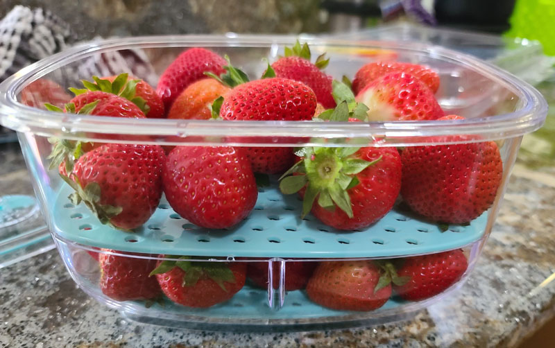 Luxear fresh food container set review - save your fresh food longer - The  Gadgeteer