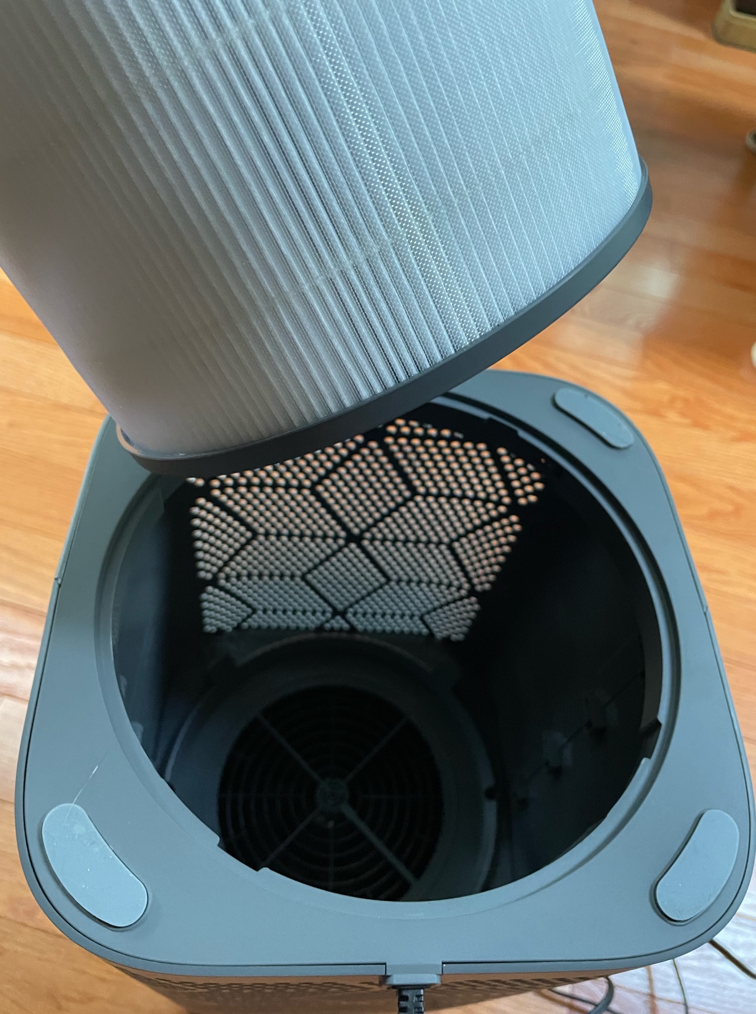 Ganiza G200S True HEPA Air Purifier review Does a dandy duty