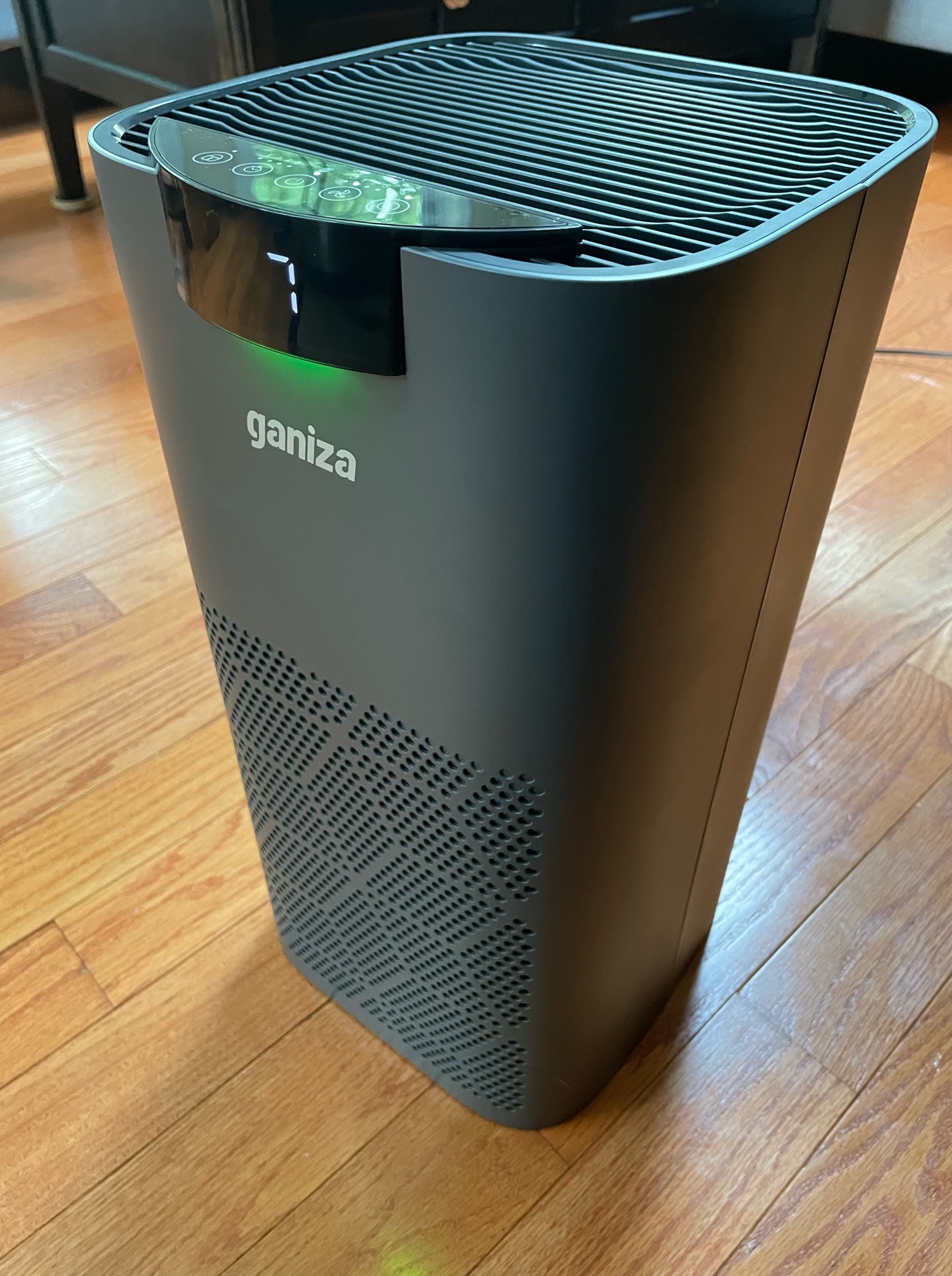 Ganiza G200S True HEPA Air Purifier review Does a dandy duty