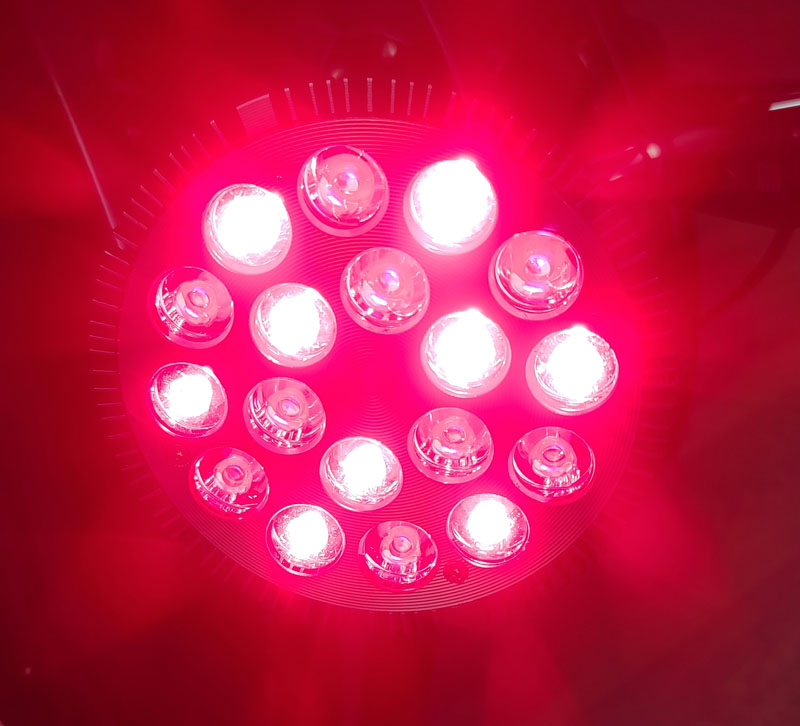 Lifepro Announces New Suite of Red Light Therapy Solutions for